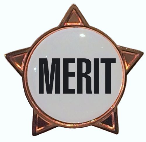 MERIT titled star badge